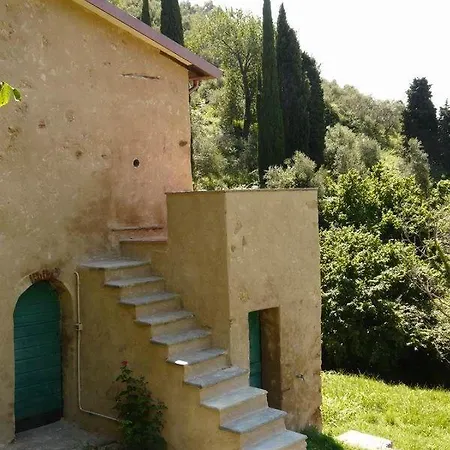 Little Graceland * Camaiore